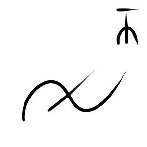 Wacag-velvet worm.jpg