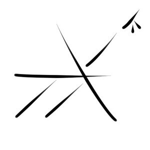 Wacag-gliding ant.jpg