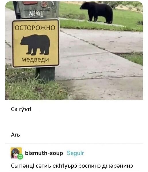 File:Guimin Bear.jpg