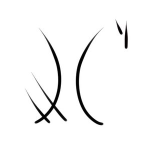 Wacag-flying squirrel.jpg