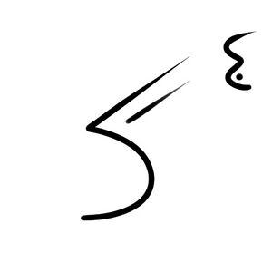 Wacag-wattled ploughbill.jpg