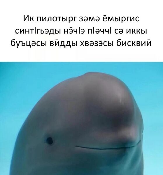 File:Guimin cookie.jpg