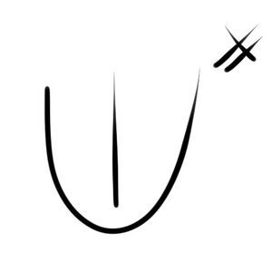 Wacag-trade network.jpg