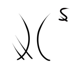 Wacag-flying lizard.jpg